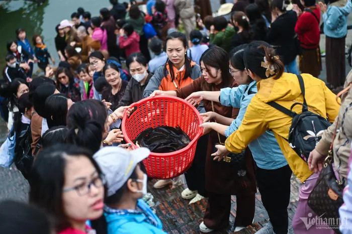 8h30, các phật tử di chuyển ra khu vực đình Bát Tràng nằm ven sông Hồng để thực hiện nghi thức phóng sinh đầu năm. Những giỏ cá bắt đầu được chuyển từ trên ô tô xuống các bậc thềm ra tới bờ sông.