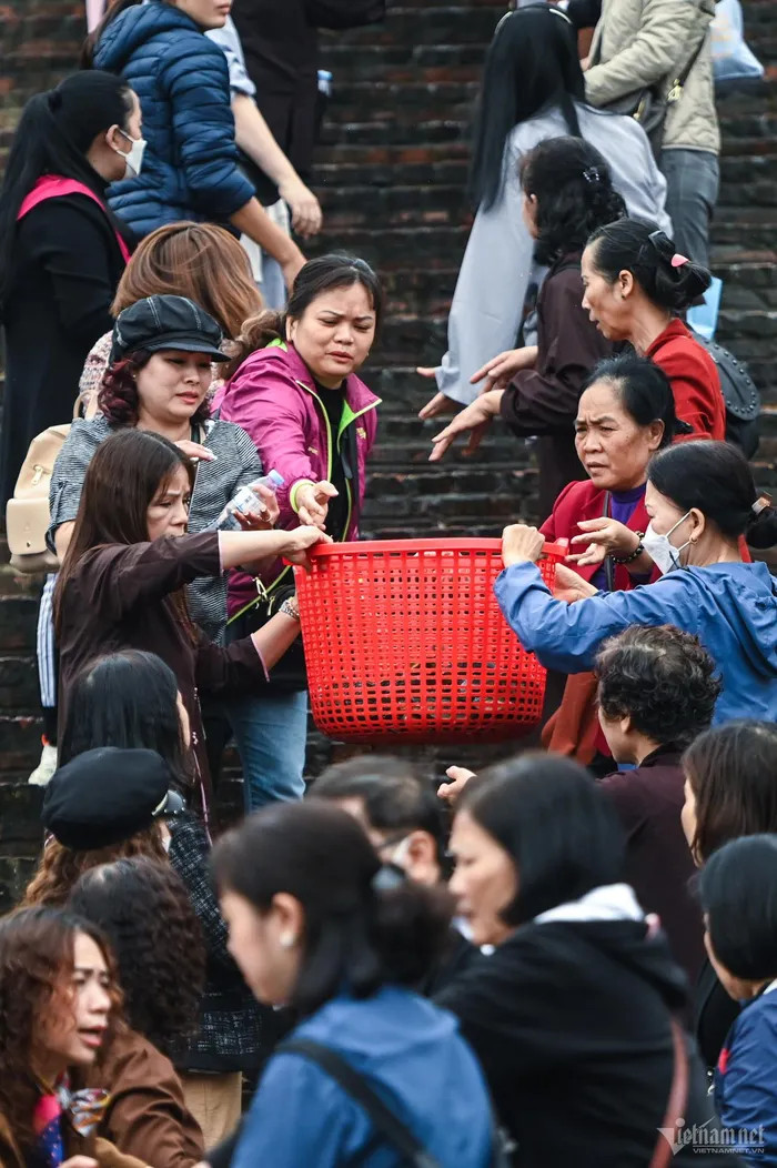 Phật tử đứng nối tiếp nhau thành hai hàng ở các bậc thang để tiện vận chuyển cá.
