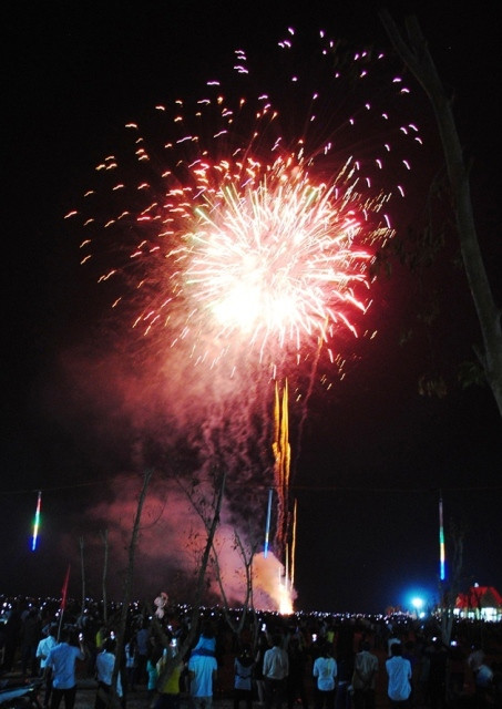 Cả nước tưng bừng đón năm mới Bính Thân 2016 ảnh 13