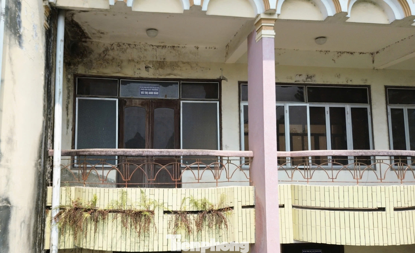 Nhiều hạng mục của ngôi nhà hư hỏng, khung gỗ bị mối mọt đục khoét, còn các vật dụng bằng sắt thép thì gỉ sét. Cỏ dại mọc khắp nơi, tạo nên khung cảnh hoang tàn, đối lập với sự nhộn nhịp của các cửa hàng, trung tâm thương mại cạnh đó.