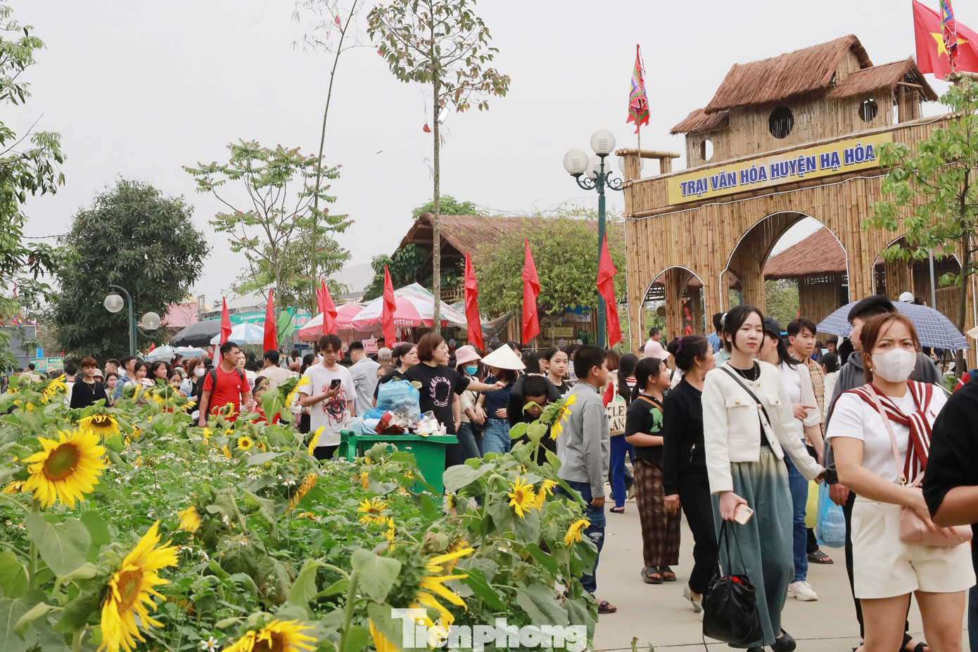 Người dân, đặc biệt trẻ em thích thú với vườn hoa hướng dương.