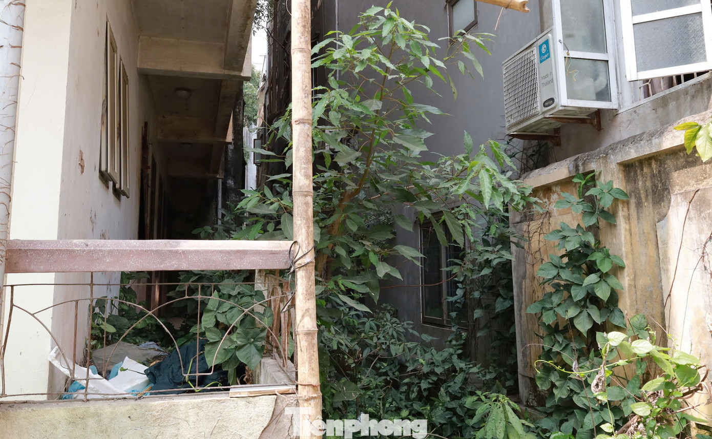 Theo anh T, toà nhà nằm trên tuyến phố sầm uất, giá đất tại đây dao động từ 48 – 55 triệu đồng/m2, có thời điểm lên hơn 60 triệu đồng/m2.