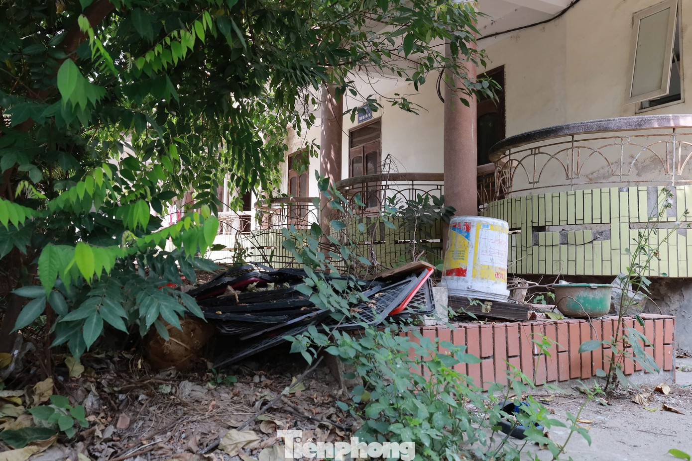 Lãnh đạo UBND phường Phương Lâm, TP. Hòa Bình cho biết, trụ sở này hiện thuộc quyền quản lý của Sở Nông nghiệp và Môi trường Hòa Bình. Sau khi các phòng ban chức năng chuyển sang nơi làm việc mới, nơi đây bị bỏ hoang trong thời gian dài.