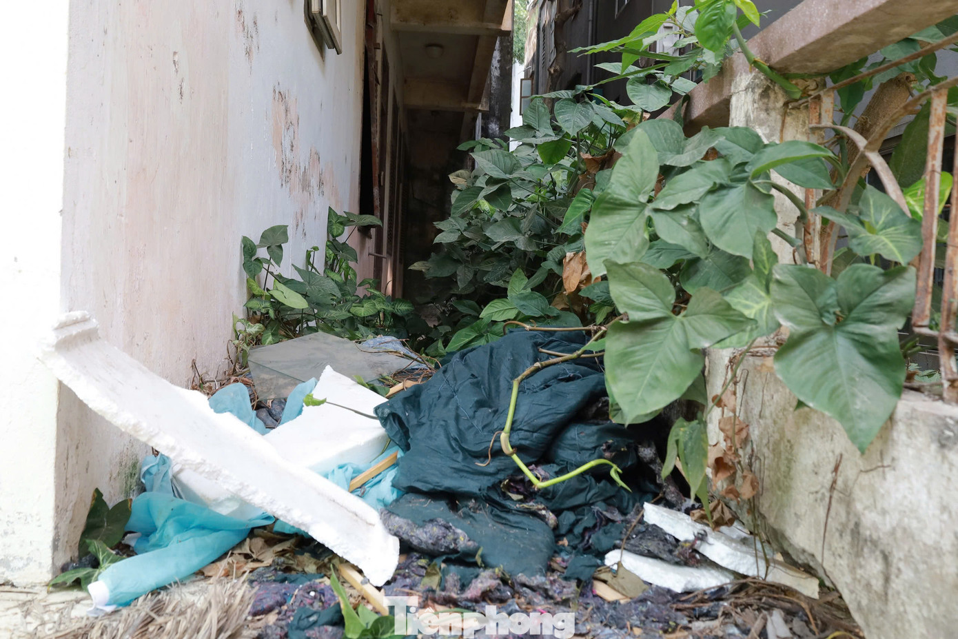 Theo anh T, toà nhà nằm trên tuyến phố sầm uất, giá đất tại đây dao động từ 48 – 55 triệu đồng/m2, có thời điểm lên hơn 60 triệu đồng/m2.