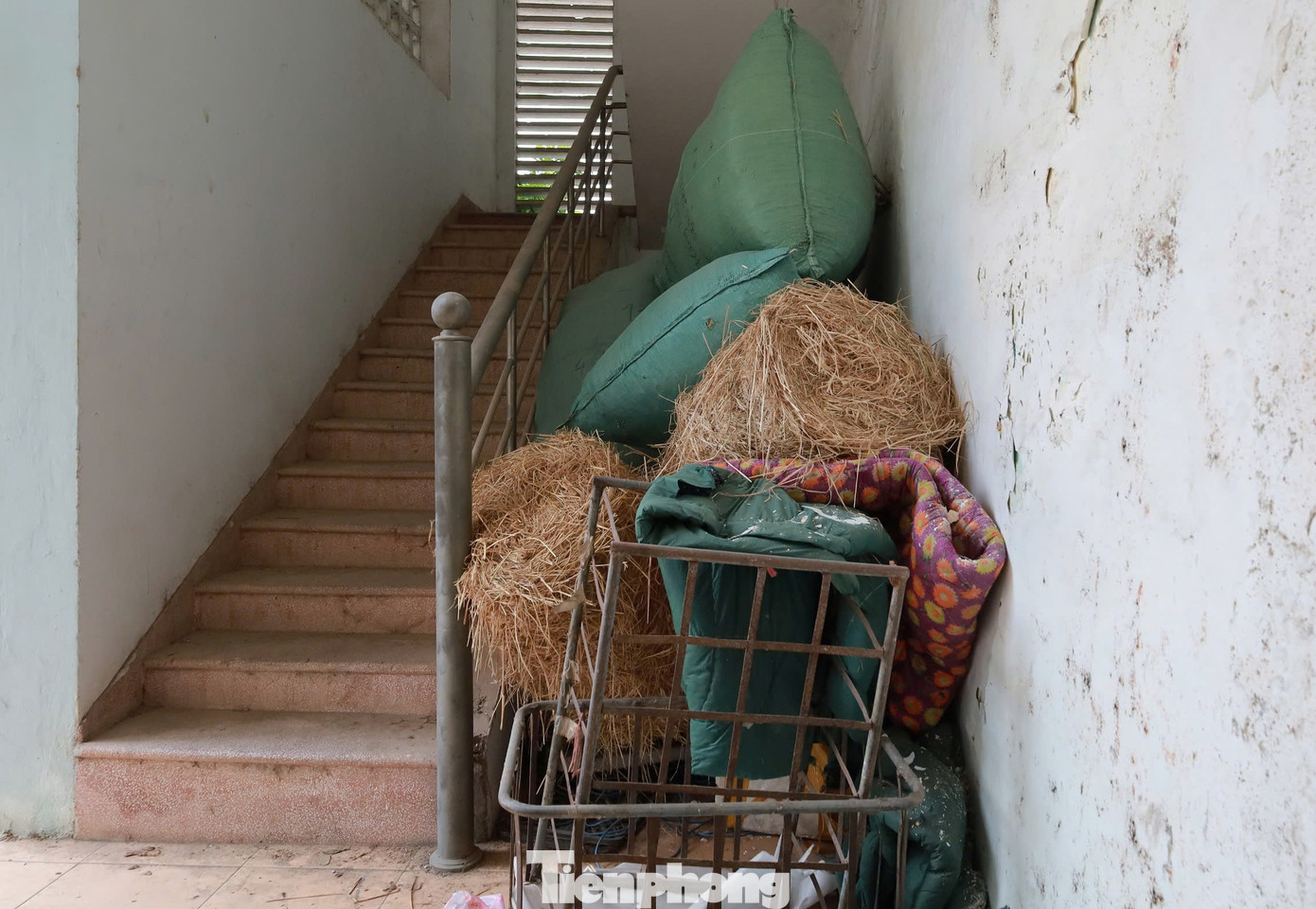 "Dù nằm trên địa bàn phường Phương Lâm, việc di dời hay quản lý trụ sở vẫn thuộc thẩm quyền của Sở Nông nghiệp và Môi trường Hòa Bình", vị lãnh đạo phường nói.