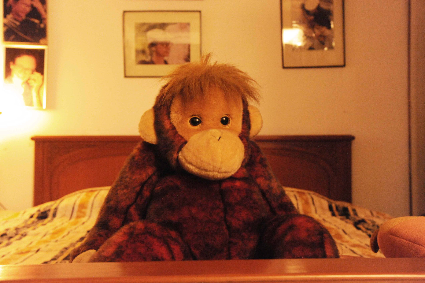 Chiếc giường ngủ nhỏ bé của ông luôn có những con thú bông làm bạn. Chiếc giường ngủ nhỏ bé của ông luôn có những con thú bông làm bạn.