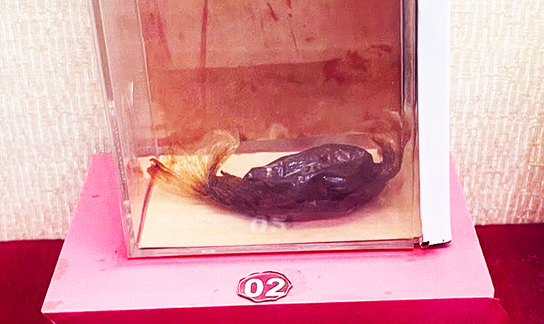 Viên kẹo Bác Hồ tặng chị Thiện Vân (cán bộ miền Nam) năm 1967 trước khi chị trở về Nam công tác.