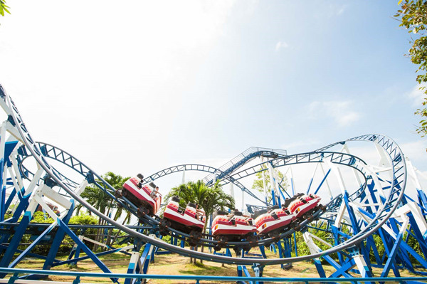 Lạc lối giữa ngàn hoa Tuy-lip tại Vinpearl Land Nha Trang ảnh 16