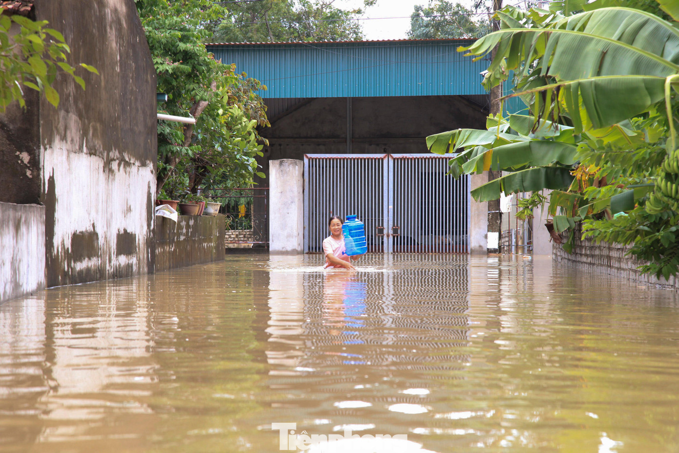 Hơn 62,6 ha lúa mùa (ở các xã Quỳnh Châu, Quỳnh Hoa, Tân Thắng, Tân Sơn); 957 ha rau màu (ở các xã Quỳnh Yên, Quỳnh Mỹ, Quỳnh Tân, Ngọc Sơn, Quỳnh Tam, Quỳnh Châu, Quỳnh Nghĩa, Quỳnh Minh, Quỳnh Lương, Quỳnh Bảng, Quỳnh Thọ, Quỳnh Thuận, Quỳnh Văn) bị ngập, hư hỏng. Hơn 62,6 ha lúa mùa (ở các xã Quỳnh Châu, Quỳnh Hoa, Tân Thắng, Tân Sơn); 957 ha rau màu (ở các xã Quỳnh Yên, Quỳnh Mỹ, Quỳnh Tân, Ngọc Sơn, Quỳnh Tam, Quỳnh Châu, Quỳnh Nghĩa, Quỳnh Minh, Quỳnh Lương, Quỳnh Bảng, Quỳnh Thọ, Quỳnh Thuận, Quỳnh Văn) bị ngập, hư hỏng.