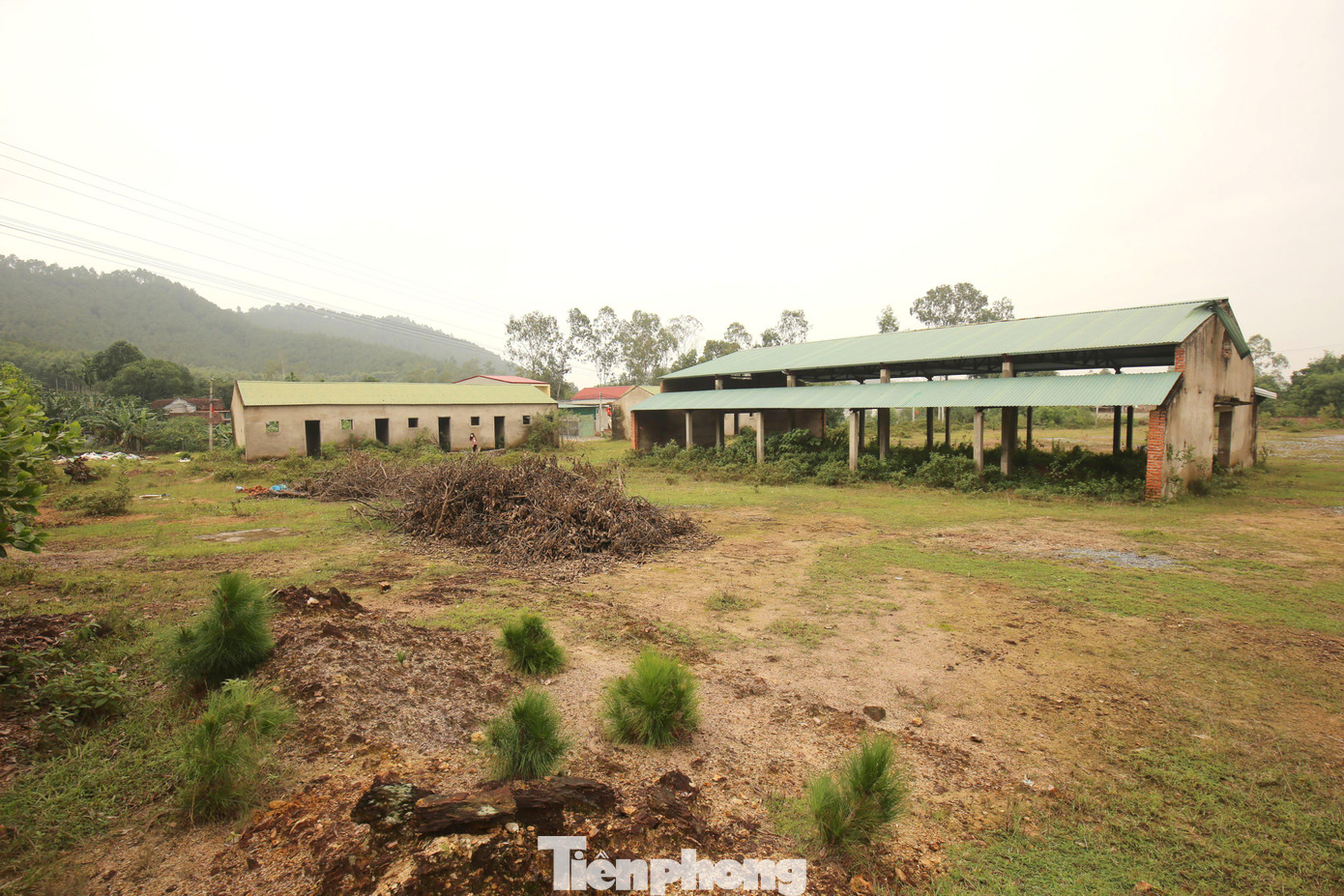 Hiện trên địa bàn tỉnh Nghệ An rất nhiều chợ rơi vào cảnh phải đóng cửa, thậm chí một số chợ xây xong nhiều năm vẫn chưa một lần họp chợ. Với mục tiêu trở thành trung tâm kinh doanh, buôn bán của xã, đồng thời đáp ứng tiêu chí nông thôn mới, năm 2013, chợ Nam Thái (xã Nam Thái, huyện Nam Đàn, Nghệ An) được đầu tư xây dựng trên trên diện tích 3.000m2 với tổng kinh phí 3,6 tỷ đồng. Tuy nhiên, khi chợ xây dựng gần xong thì phải bỏ dở, trở thành nơi chăn thả trâu bò cho đến nay.