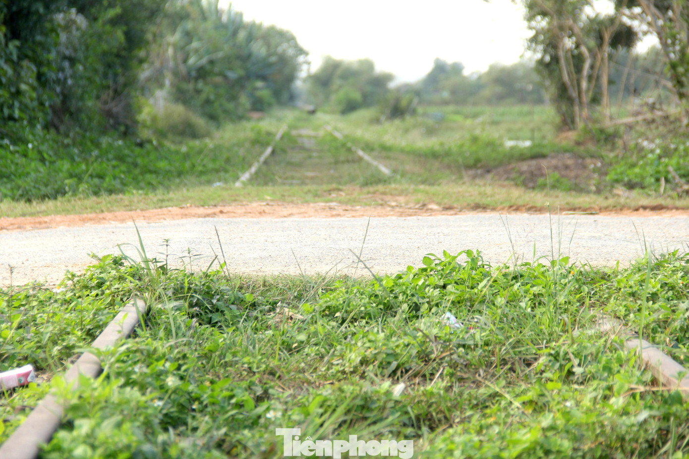 Ngoài nhiệm vụ vận chuyển hàng hóa, hành khách, ngày đó tuyến đường sắt này còn có nhiệm vụ quan trọng trong việc vận chuyển nhu yếu phẩm, vũ khí từ đồng bằng lên khu vực Nghĩa Đàn, sau đó theo đường rừng vào Nam. Ngoài nhiệm vụ vận chuyển hàng hóa, hành khách, ngày đó tuyến đường sắt này còn có nhiệm vụ quan trọng trong việc vận chuyển nhu yếu phẩm, vũ khí từ đồng bằng lên khu vực Nghĩa Đàn, sau đó theo đường rừng vào Nam.