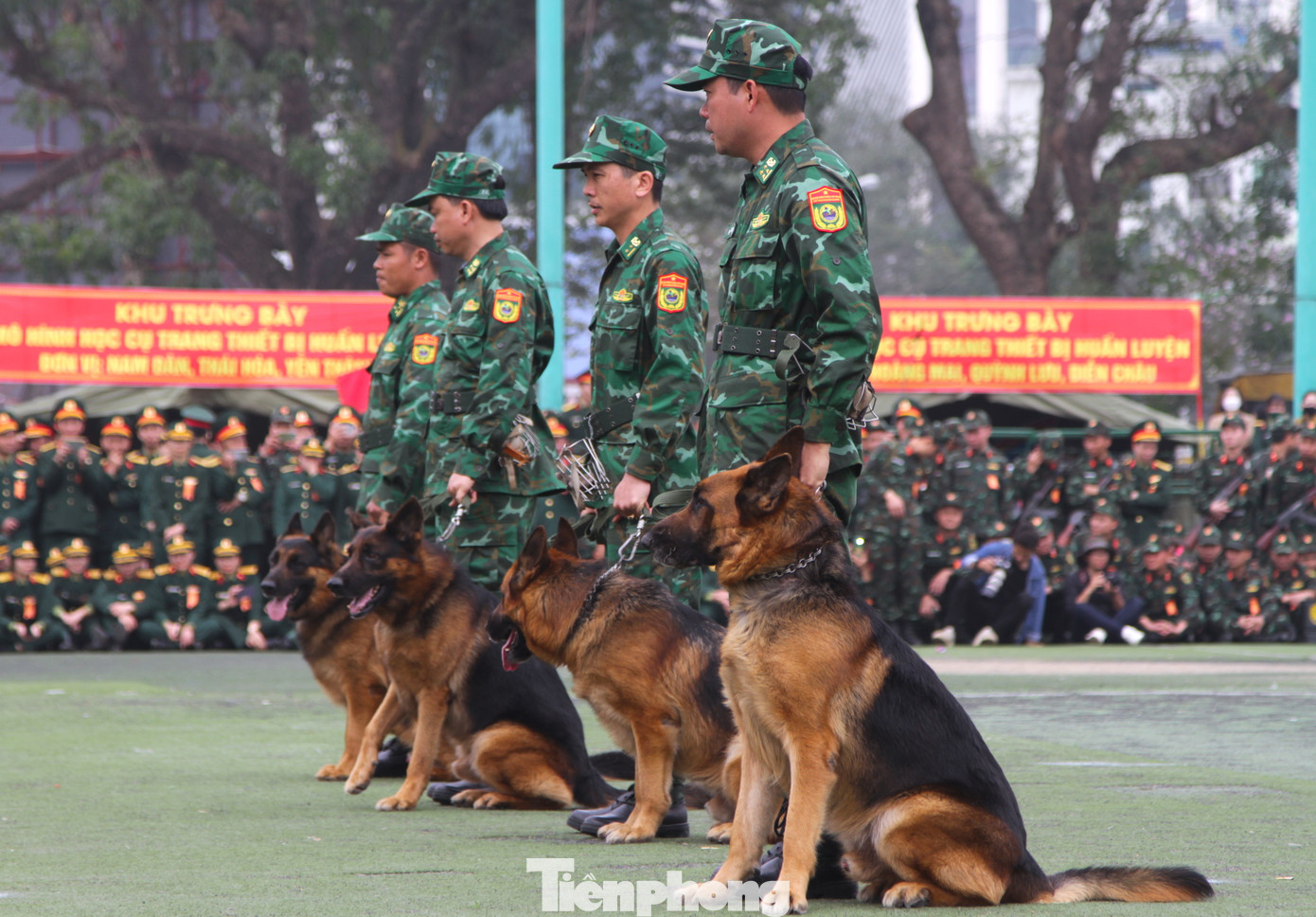 Biểu diễn huấn luyện cảnh khuyển.