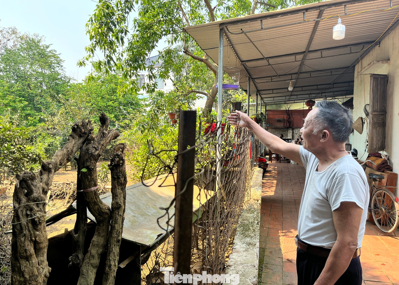 Nhà chật, đất rộng dù rất muốn xây mới nhà ở cho rộng nhưng gia đình ông Điền không thể làm vì vướng quy hoạch đường.