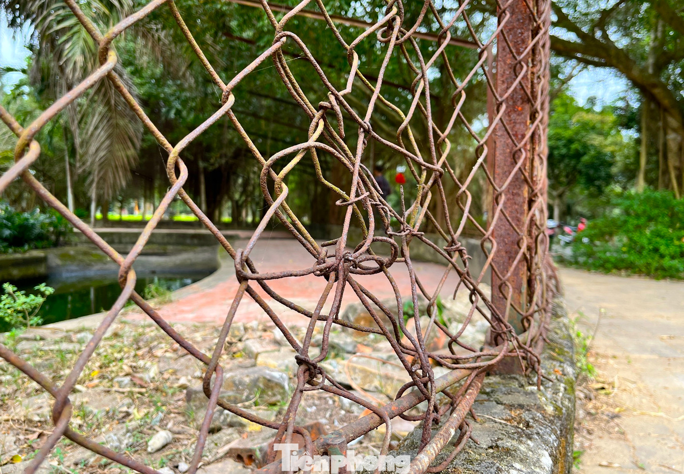 Nhiều đoạn lưới thép B40 bị thủng được "vá" lại bằng những đoạn thép cũng đã hoen gỉ. Nhìn bằng mắt thường rất mất an toàn. Nhiều đoạn lưới thép B40 bị thủng được "vá" lại bằng những đoạn thép cũng đã hoen gỉ. Nhìn bằng mắt thường rất mất an toàn.