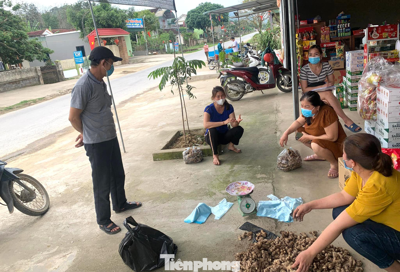 Ông Phan Văn Mạnh - Chủ tịch Hội Nông dân huyện Kỳ Sơn cho biết, năm nay sản lượng gừng của Kỳ Sơn đạt 5.400 tấn. Thời điểm này những năm trước, gừng được các thương lái thu mua với giá từ 22.000-33.000 đồng/kg, đỉnh điểm lên tới 36.000 đồng/kg. Tuy nhiên, năm nay ngay đầu vụ thu hoạch giá gừng đã giảm xuống dưới 5.000 đồng/kg. Ông Phan Văn Mạnh - Chủ tịch Hội Nông dân huyện Kỳ Sơn cho biết, năm nay sản lượng gừng của Kỳ Sơn đạt 5.400 tấn. Thời điểm này những năm trước, gừng được các thương lái thu mua với giá từ 22.000-33.000 đồng/kg, đỉnh điểm lên tới 36.000 đồng/kg. Tuy nhiên, năm nay ngay đầu vụ thu hoạch giá gừng đã giảm xuống dưới 5.000 đồng/kg.