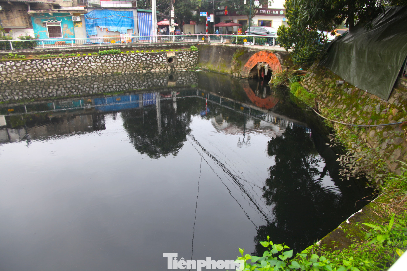 Nước trong Hào thành cổ Vinh có màu đen như mực. Người dân cho biết, từ lâu họ luôn phải sống trong cảnh ô nhiễm này.