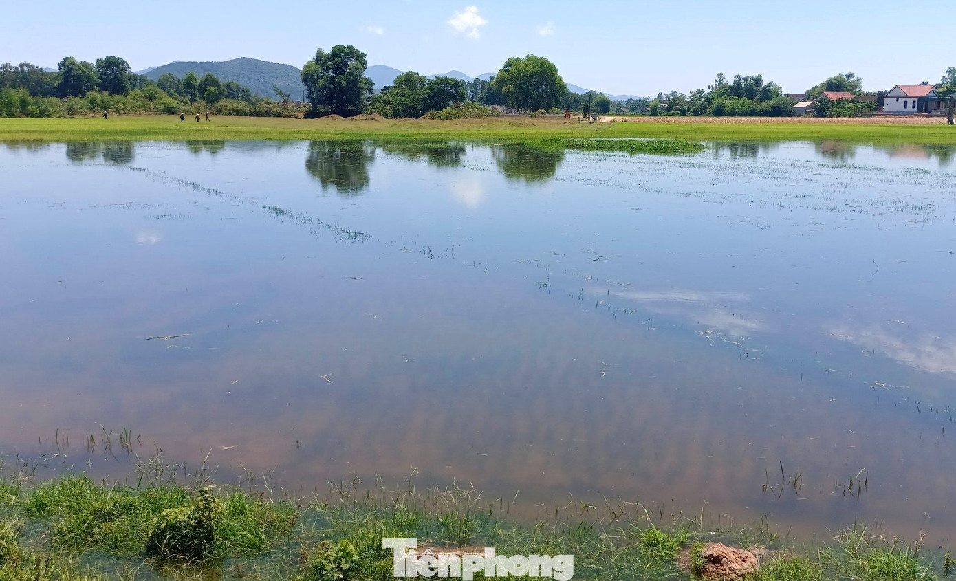 Sự cố cũng khiến 2 nhà dân ở xã Phú Lộc (huyện Can Lộc) và hơn 1ha lúa vụ hè thu tại địa phương ngập chìm trong nước.