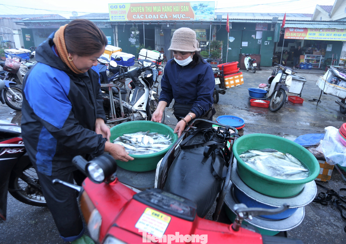 Tiểu thương cũng dậy từ sớm, xuống cảng lựa chọn hải sản tươi ngon để kịp mang về các chợ bán lẻ.