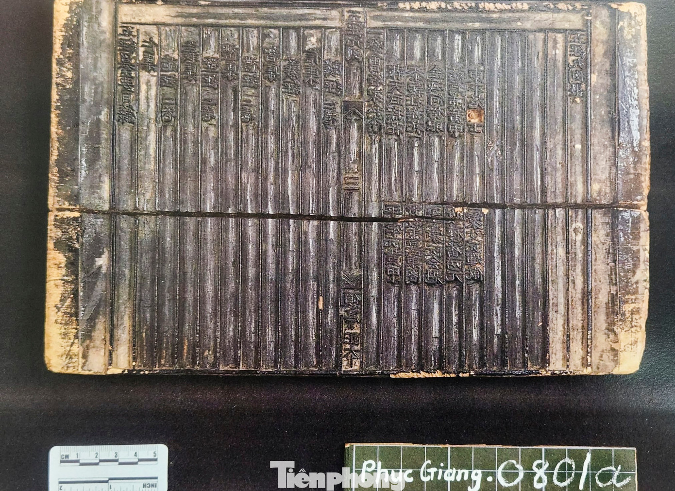 3 di sản của làng Trường Lưu gồm: Mộc bản Trường học Phúc Giang là bộ ván khắc dùng để in sách phục vụ cho việc dạy và học của dòng họ Nguyễn Huy từ thế kỷ XVIII đến thế kỷ XX tại trường học Phúc Giang; Hoàng Hoa sứ trình đồ được công nhận là bản sao duy nhất của tập sách với phần bản đồ là chính và Bộ sưu tập văn bản Hán Nôm gồm 173 tài liệu tại 14 nhà thờ các dòng họ, đình làng và 8 tư gia của làng Trường Lưu (từ cuối thế kỷ XVII đến giữa thế kỷ XX). 3 di sản của làng Trường Lưu gồm: Mộc bản Trường học Phúc Giang là bộ ván khắc dùng để in sách phục vụ cho việc dạy và học của dòng họ Nguyễn Huy từ thế kỷ XVIII đến thế kỷ XX tại trường học Phúc Giang; Hoàng Hoa sứ trình đồ được công nhận là bản sao duy nhất của tập sách với phần bản đồ là chính và Bộ sưu tập văn bản Hán Nôm gồm 173 tài liệu tại 14 nhà thờ các dòng họ, đình làng và 8 tư gia của làng Trường Lưu (từ cuối thế kỷ XVII đến giữa thế kỷ XX).