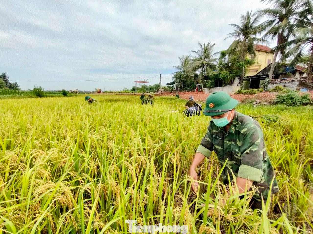 Cùng với thực hiện nhiệm vụ kép, lực lượng Bộ đội Biên phòng huy động lực lượng, phối hợp địa phương hỗ trợ người dân kịp thu hoạch lúa hè thu, đảm bảo an toàn cho người dân. Cùng với thực hiện nhiệm vụ kép, lực lượng Bộ đội Biên phòng huy động lực lượng, phối hợp địa phương hỗ trợ người dân kịp thu hoạch lúa hè thu, đảm bảo an toàn cho người dân.