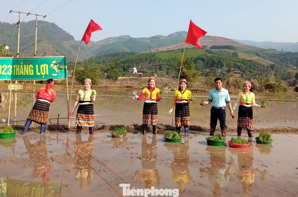 Khi tham gia cuộc thi, các chị em đều diện cho mình những bộ váy áo truyền thống đẹp nhất. Mặc cho những ngày đầu năm mới tiết trời rất lạnh nhưng chị em phụ nữ ai cũng hồ hởi lội xuống đồng, tay cầm sẵn mạ non, chờ hiệu lệnh của ban tổ chức để thi cấy lúa. Khi tham gia cuộc thi, các chị em đều diện cho mình những bộ váy áo truyền thống đẹp nhất. Mặc cho những ngày đầu năm mới tiết trời rất lạnh nhưng chị em phụ nữ ai cũng hồ hởi lội xuống đồng, tay cầm sẵn mạ non, chờ hiệu lệnh của ban tổ chức để thi cấy lúa.