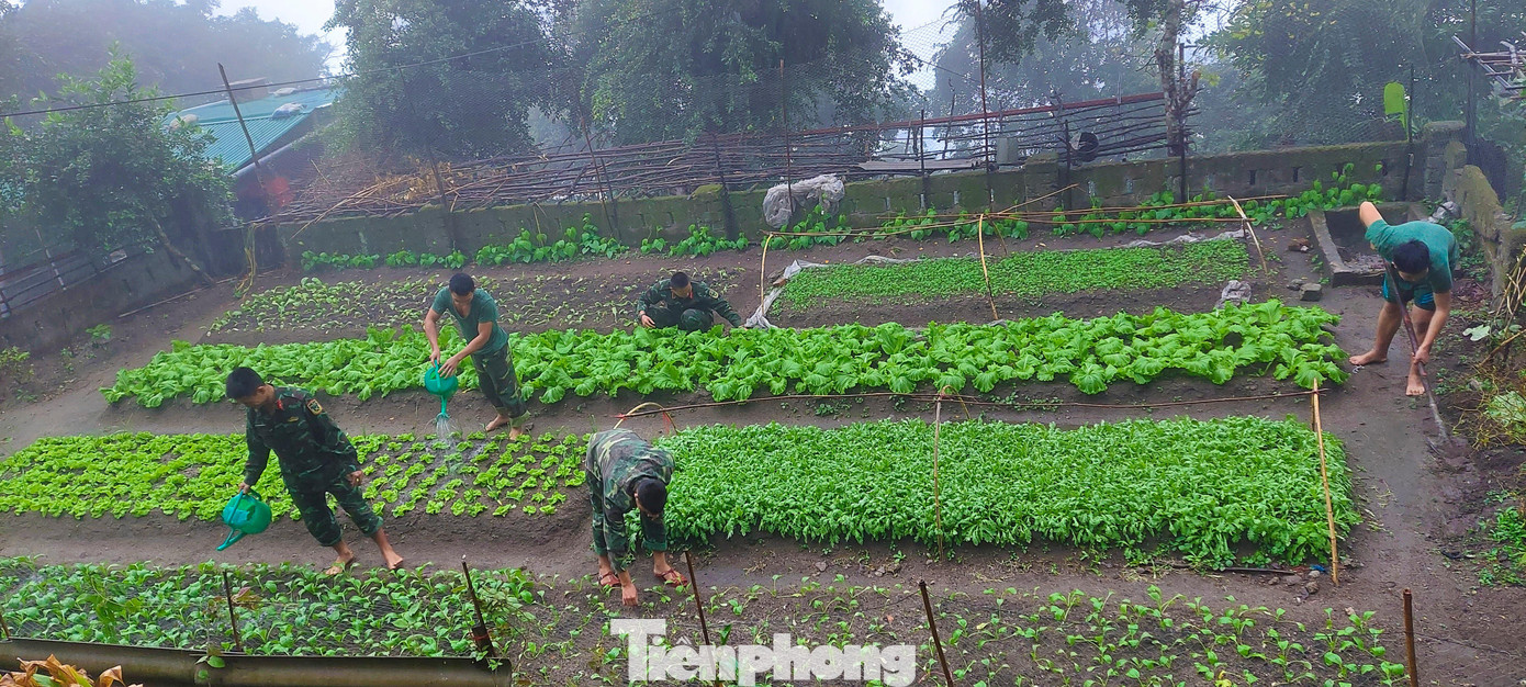 Dẫn đoàn công tác đi tham quan các vườn rau thanh niên, Đại úy Nguyễn Công Khánh - Bí thư Đoàn cơ sở, Chính trị viên phó Tiểu đoàn hỗn hợp Đảo Mắt cho biết: "Toàn đảo có hơn 70% là đá nên quỹ đất để chiến sĩ canh tác là rất ít. Tuy nhiên, từ những bàn tay khéo léo nên chủng loại đa dạng. Mùa nắng trồng rau mồng tơi, rau dền; mùa mưa trồng rau cải, rau cúc... Còn muốn trồng rau muống mùa nắng thì phải đào hố rồi lót bạt phía dưới để giữ nước, sau đó cho đất, bùn, phân bón vào, tận dụng nước thải sinh hoạt mới trồng được".