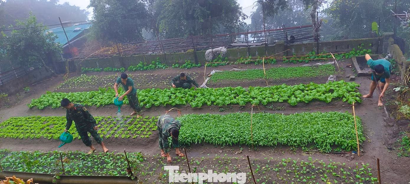 Dẫn đoàn công tác đi tham quan các vườn rau thanh niên, Đại úy Nguyễn Công Khánh - Bí thư Đoàn cơ sở, Chính trị viên phó Tiểu đoàn hỗn hợp Đảo Mắt cho biết: "Toàn đảo có hơn 70% là đá nên quỹ đất để chiến sĩ canh tác là rất ít. Tuy nhiên, từ những bàn tay khéo léo nên chủng loại đa dạng. Mùa nắng trồng rau mồng tơi, rau dền; mùa mưa trồng rau cải, rau cúc... Còn muốn trồng rau muống mùa nắng thì phải đào hố rồi lót bạt phía dưới để giữ nước, sau đó cho đất, bùn, phân bón vào, tận dụng nước thải sinh hoạt mới trồng được".