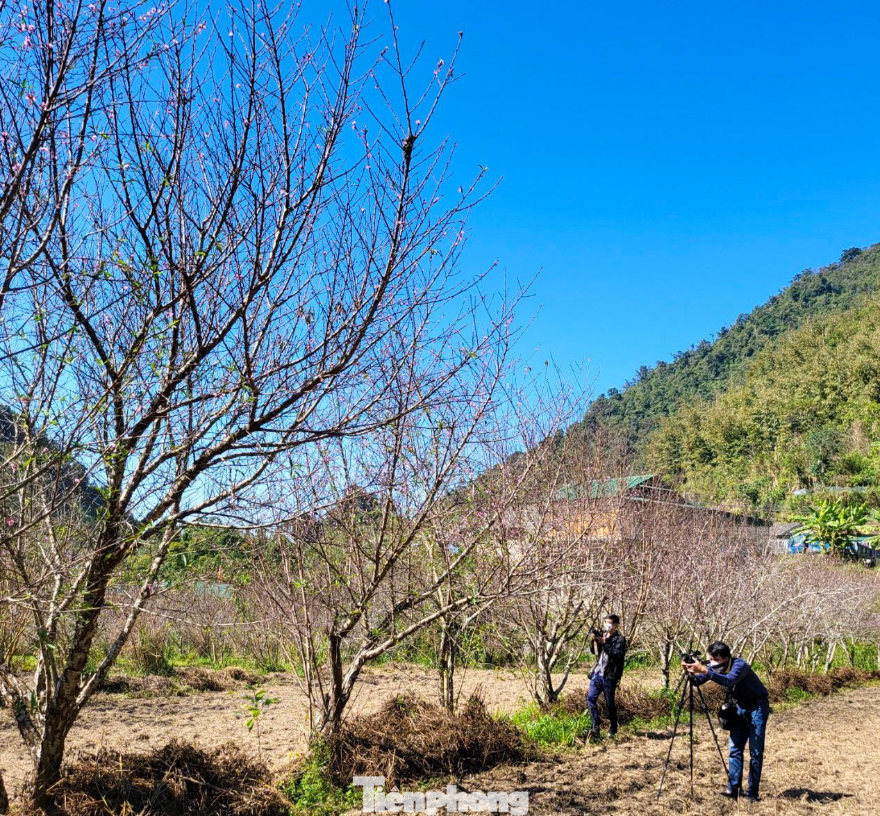 Rời Mường Lống, khách sẽ mong muốn ngày trở lại. Đến thung lũng yên bình đang mạnh mẽ đổi thay, khỏe khoắn như những mầm chồi của cây đào, cây mận...