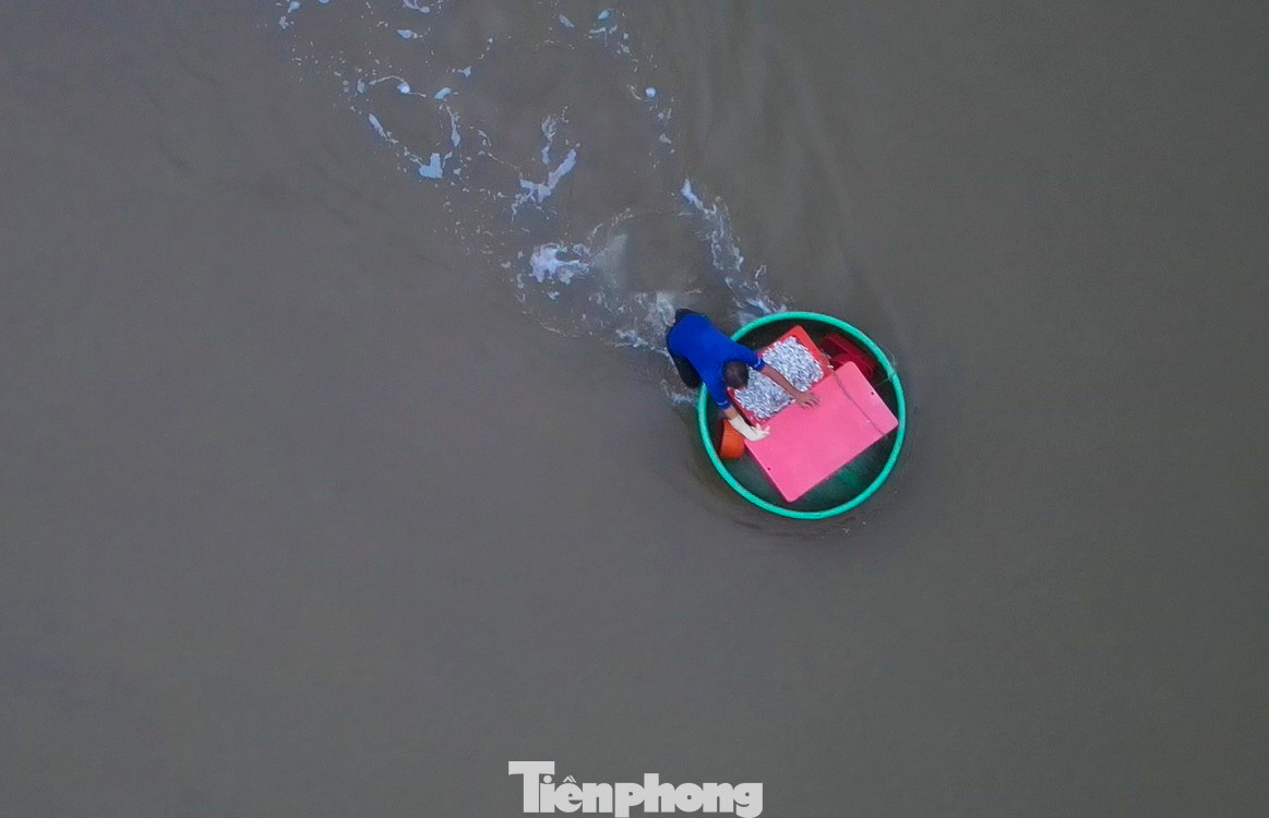 Do luồng lạch bồi lấp, các thuyền không thể cập sát bờ nên phải dừng cách bờ 15-20m rồi đưa hải sản vào bờ bằng thuyền thúng.