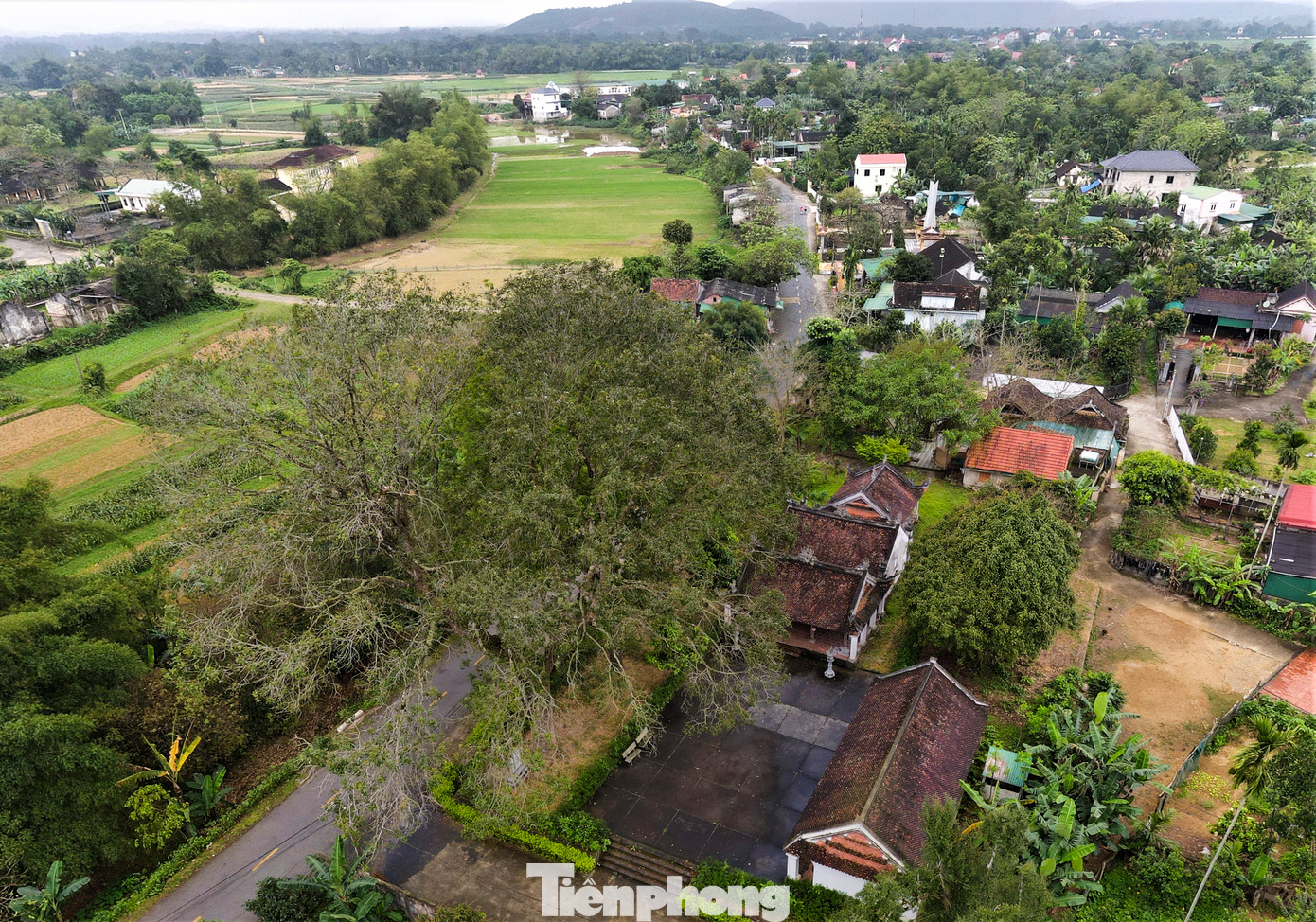 Di tích đền Bạch Vân được Tiến sĩ Đinh Nho Công xây dựng vào năm Canh Tuất (1670, đời vua Lê Huyền Tông), thờ ông Trần Toản là bạn học vô cùng gắn bó với ông. Đền được xây dựng ở Cồn Mai (làng Thịnh Xá, xã An Hòa Thịnh, huyện Hương Sơn, Hà Tĩnh), nơi có đám mây trắng dồn tụ như lời nguyện của ông Trần Toản.