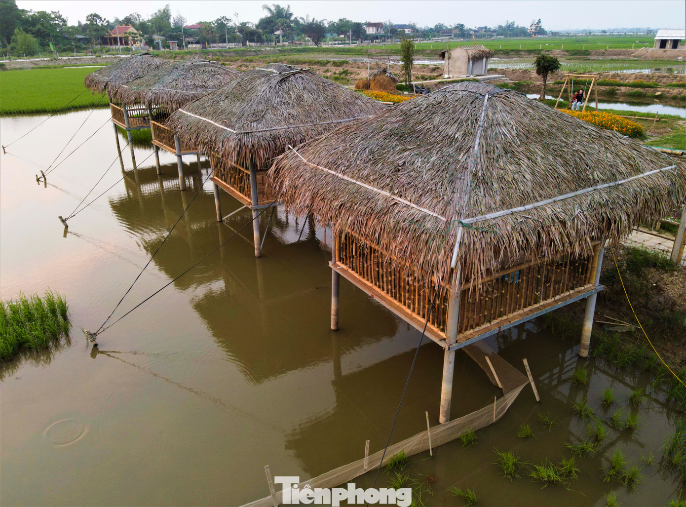 Trên ruộng lúa có nuôi đầy cá, tôm, chủ sở hữu còn dựng các chòi bằng tre, nứa, lá cọ mang hình ảnh thôn quê để người dân địa phương và du khách trải nghiệm.