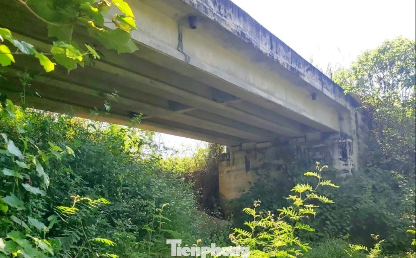 “Đây là con đường giúp bà con phát triển kinh tế, đời sống nhân dân sẽ được nâng lên… Thế nhưng, chúng tôi đợi đã hơn 10 năm nay rồi, đến thời điểm này đoạn đi qua địa bàn xã mới có 2 cầu, một cái mới làm, cầu còn lại thì cây cối mọc bao trùm hết rồi”, ông Trung nói. “Đây là con đường giúp bà con phát triển kinh tế, đời sống nhân dân sẽ được nâng lên… Thế nhưng, chúng tôi đợi đã hơn 10 năm nay rồi, đến thời điểm này đoạn đi qua địa bàn xã mới có 2 cầu, một cái mới làm, cầu còn lại thì cây cối mọc bao trùm hết rồi”, ông Trung nói.