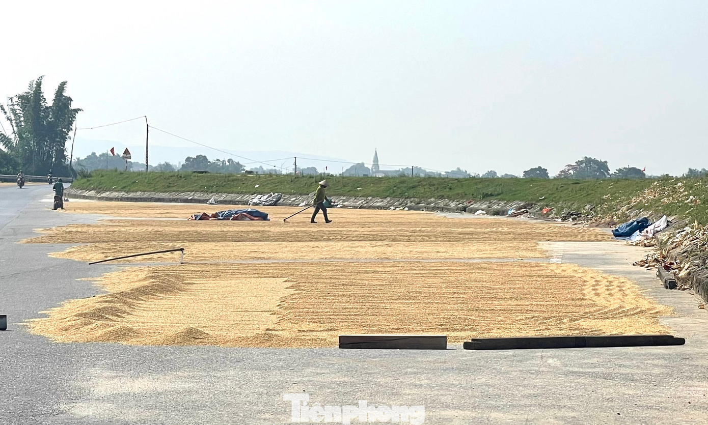 Nhiều tuyến đường bị người dân chiếm dụng làm sân phơi lúa gần hết mặt đường.