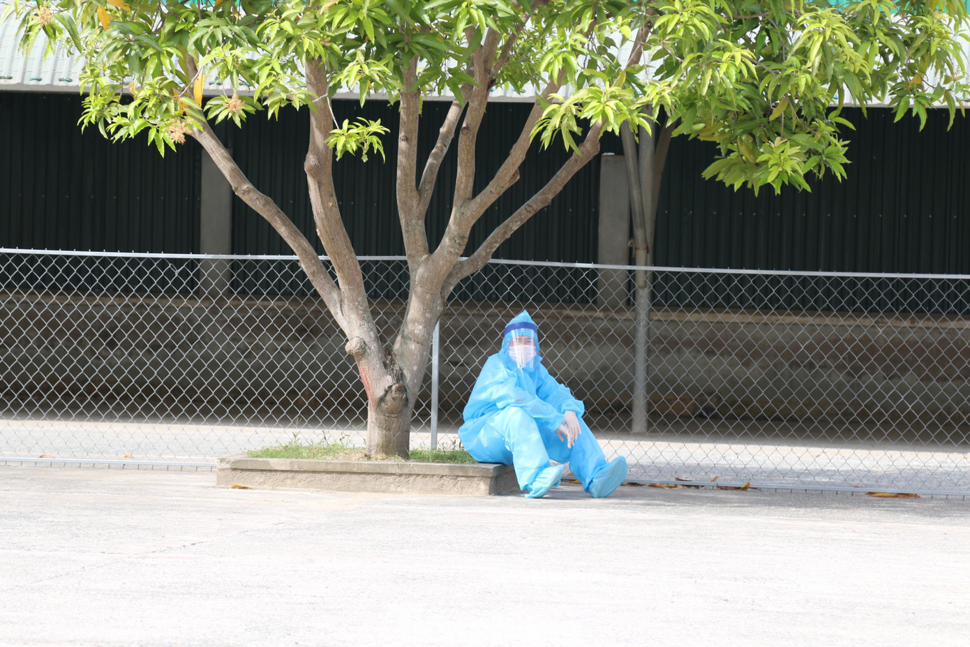 Phút nghỉ ngơi hiếm hoi dưới bóng cây của một nữ điều dưỡng. Việc Ban chỉ đạo phòng chống dịch COVID-19 tỉnh Nghệ An mở bệnh viện dã chiến tại huyện Hưng Nguyên sẽ phần nào giảm tải được áp lực cho tuyến đầu ở Trung tâm bệnh nhiệt đới.