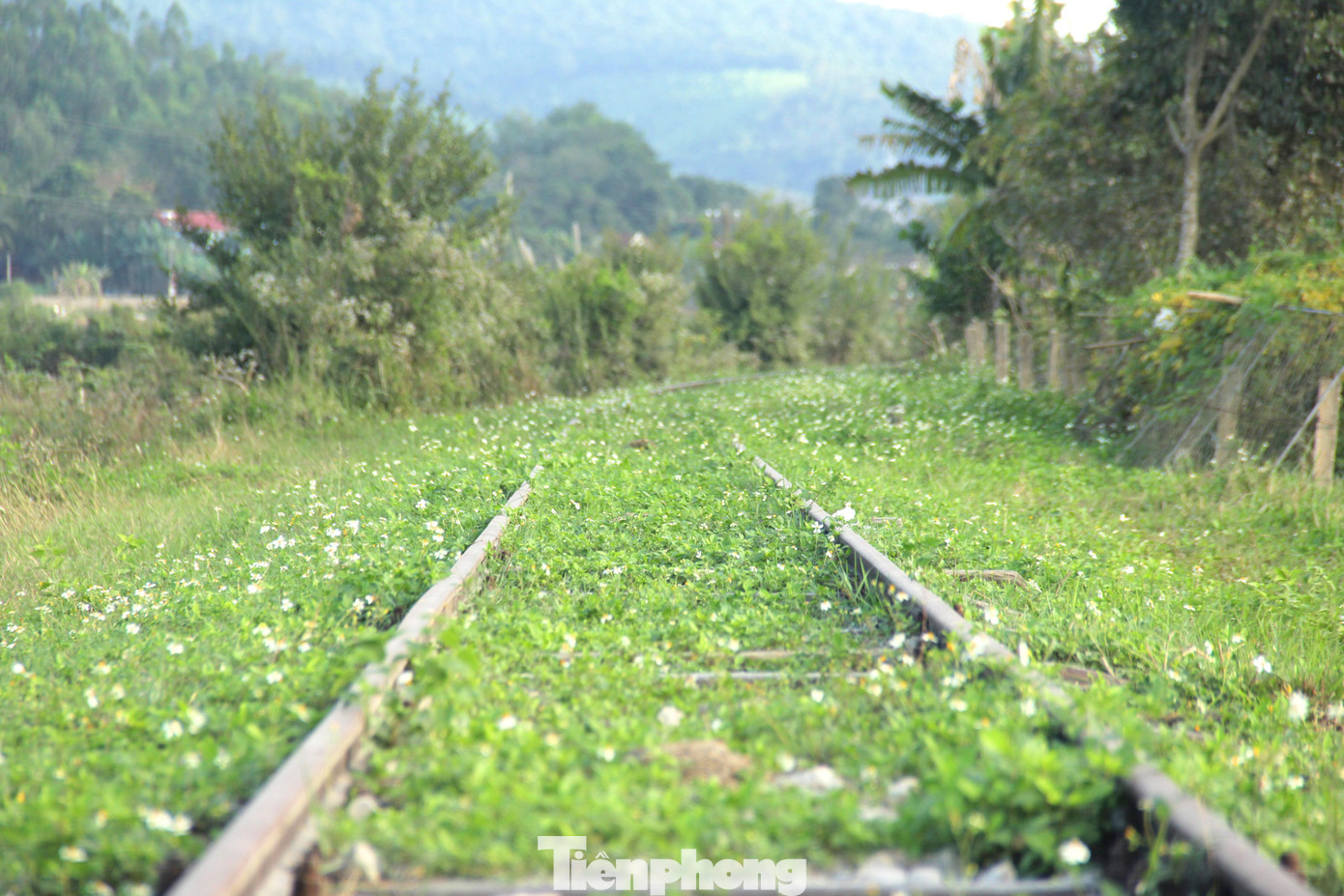 Khi quốc lộ 48 được đầu tư mở rộng, những đoàn ô tô vận tải nối đuôi nhau ngược xuôi ngày một nhiều. Đây cũng là lúc tuyến đường sắt này dần đi vào dĩ vãng. Sau nhiều năm gắng gượng, năm 2006, ngành đường sắt đành phải dừng hoạt động vận tải hành khách. Sáu năm sau, chuyến tàu hàng cuối cùng cũng phải dừng hoạt động. Khi quốc lộ 48 được đầu tư mở rộng, những đoàn ô tô vận tải nối đuôi nhau ngược xuôi ngày một nhiều. Đây cũng là lúc tuyến đường sắt này dần đi vào dĩ vãng. Sau nhiều năm gắng gượng, năm 2006, ngành đường sắt đành phải dừng hoạt động vận tải hành khách. Sáu năm sau, chuyến tàu hàng cuối cùng cũng phải dừng hoạt động.