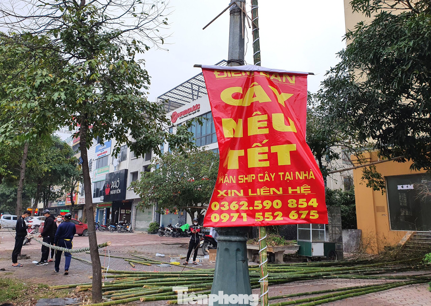 Anh Trần Đức Mười (một thương lái bán cây nêu trên đường Lê Nin, thành phố Vinh) cho biết, trung bình mỗi ngày anh bán được gần 100 cây.