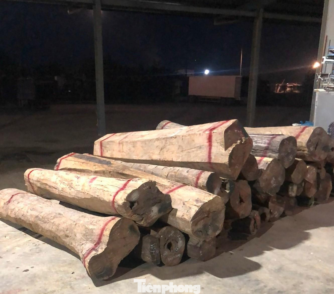 Số lượng gỗ trắc đang được cơ quan chức năng tạm giữ để phục vụ điều tra.