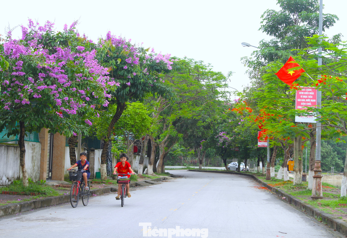 Không chỉ hoa sen đua nở, dịp tháng 5 này, những con đường dẫn vào Làng Sen quê Bác tươi vui, rực rỡ sắc màu của nhiều loại hoa khoe sắc.
