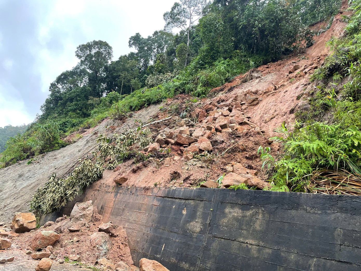 Mưa lũ cũng đã gây thiệt hại lớn về vật nuôi, cây trồng và các công trình giao thông. Sạt lở đất, ngập lụt nhiều điểm trên quốc lộ 48, các tuyến tỉnh lộ, huyện lộ, chính quyền địa phương cũng đã cho người túc trực, cắm biển cảnh báo.