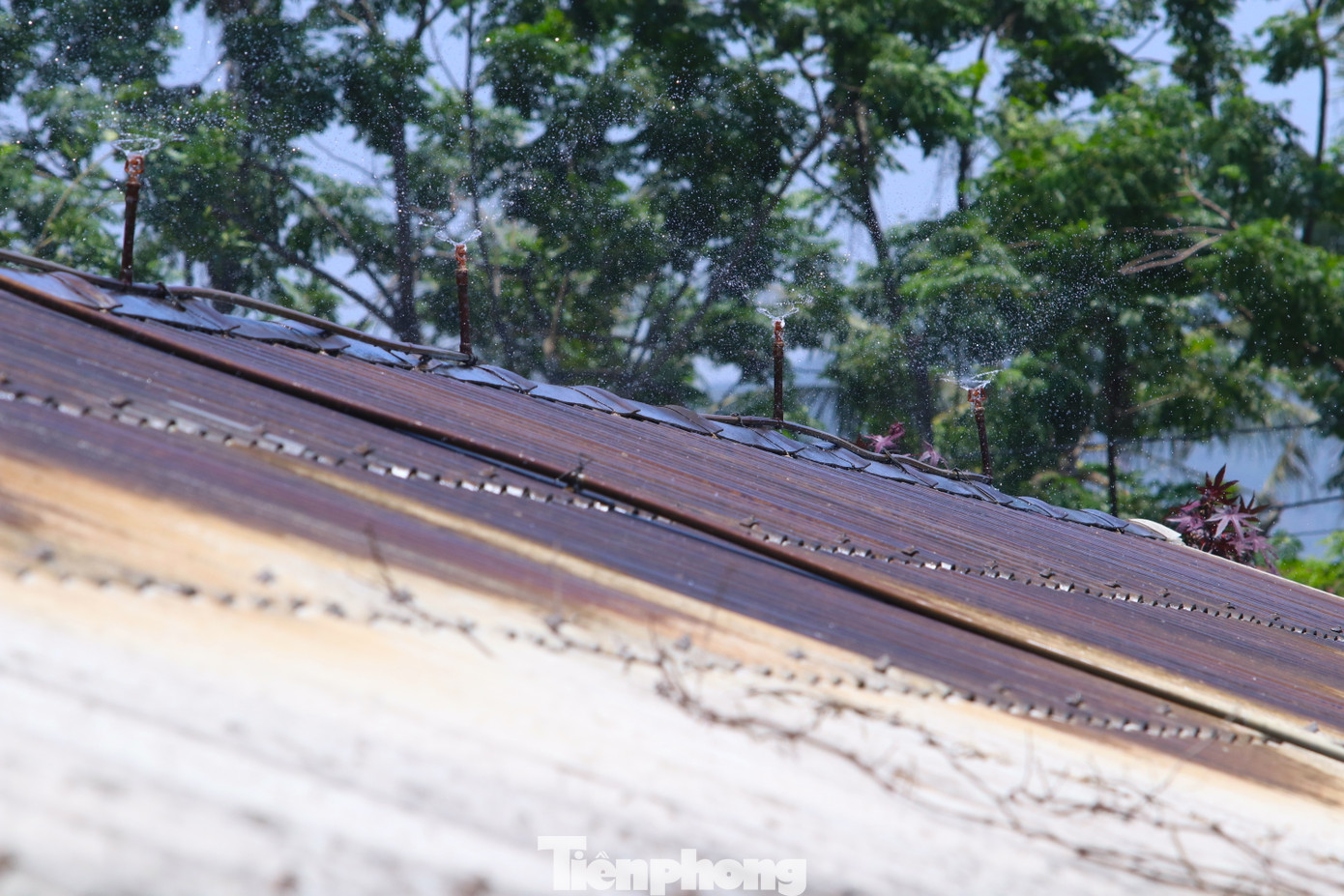 Hệ thống phun sương phun liên tục trên mái của các trang trại gà để giảm nhiệt độ. Hệ thống phun sương phun liên tục trên mái của các trang trại gà để giảm nhiệt độ.