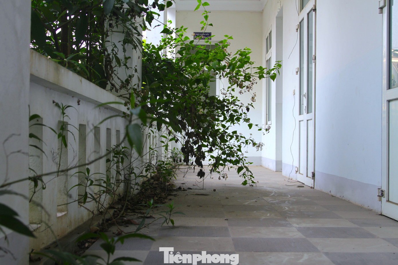 “Trụ sở hàng chục tỷ đồng còn khang trang như vậy nhưng tôi thấy mấy năm nay không sử dụng đến, lãng phí quá", anh Tuấn - một người dân địa phương nói.