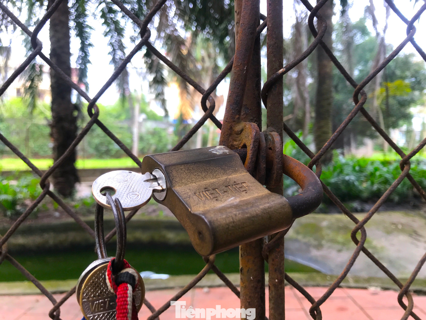 Chuồng nuôi cá sấu có một cánh cổng vào được khóa khá mỏng manh. Chuồng nuôi cá sấu có một cánh cổng vào được khóa khá mỏng manh.