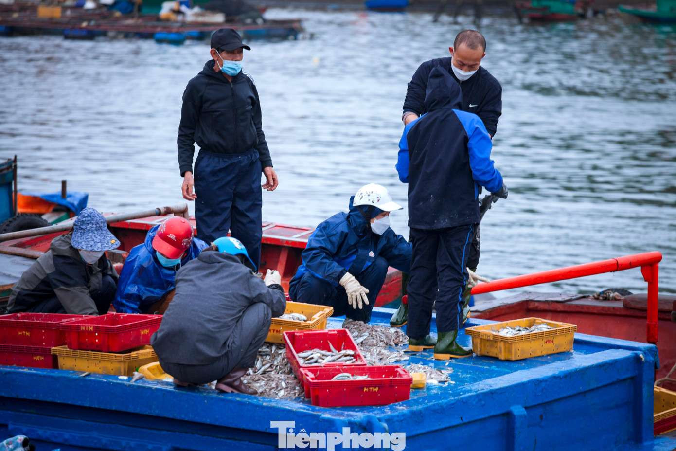 Khác với mọi năm, năm nay anh Đặng Văn Quân (trú xã Diễn Ngọc, huyện Diễn Châu, Nghệ An) đã chọn cho mình chiều ngày mồng 9 là ngày ra khơi lấy may. Chuyến biển xuất hành này của anh không đặt nặng vấn đề về sản lượng, thế nhưng với tàu cá có công suất 200CV của anh đã đánh bắt được hơn 5 tạ cá.
