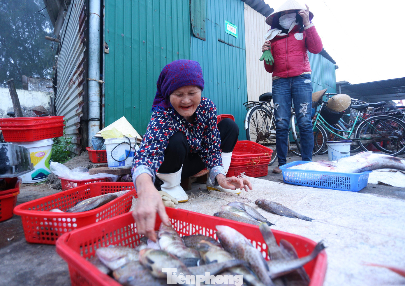 Bà Nguyễn Thị Châu (78 tuổi, xã Thạch Kim), cho biết hơn 10 năm qua, cứ 4h sáng bà lại ra góc cảng ngồi phân loại cá ra từng khay cho khách. Mỗi lần phân loại được trả 10.000-20.000 đồng. Việc làm tuy khá vất vả nhưng giúp bà có sức khỏe và niềm vui.