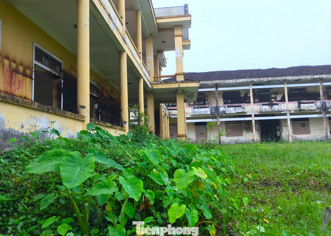 Chủ tịch UBND phường Đông Vĩnh cho biết, một năm trước, trên đường từ trường Nguyễn Trường Tộ về nhà, một học sinh tại địa bàn phường Đông Vĩnh bị xe tải cuốn vào gầm tử vong tại chỗ.