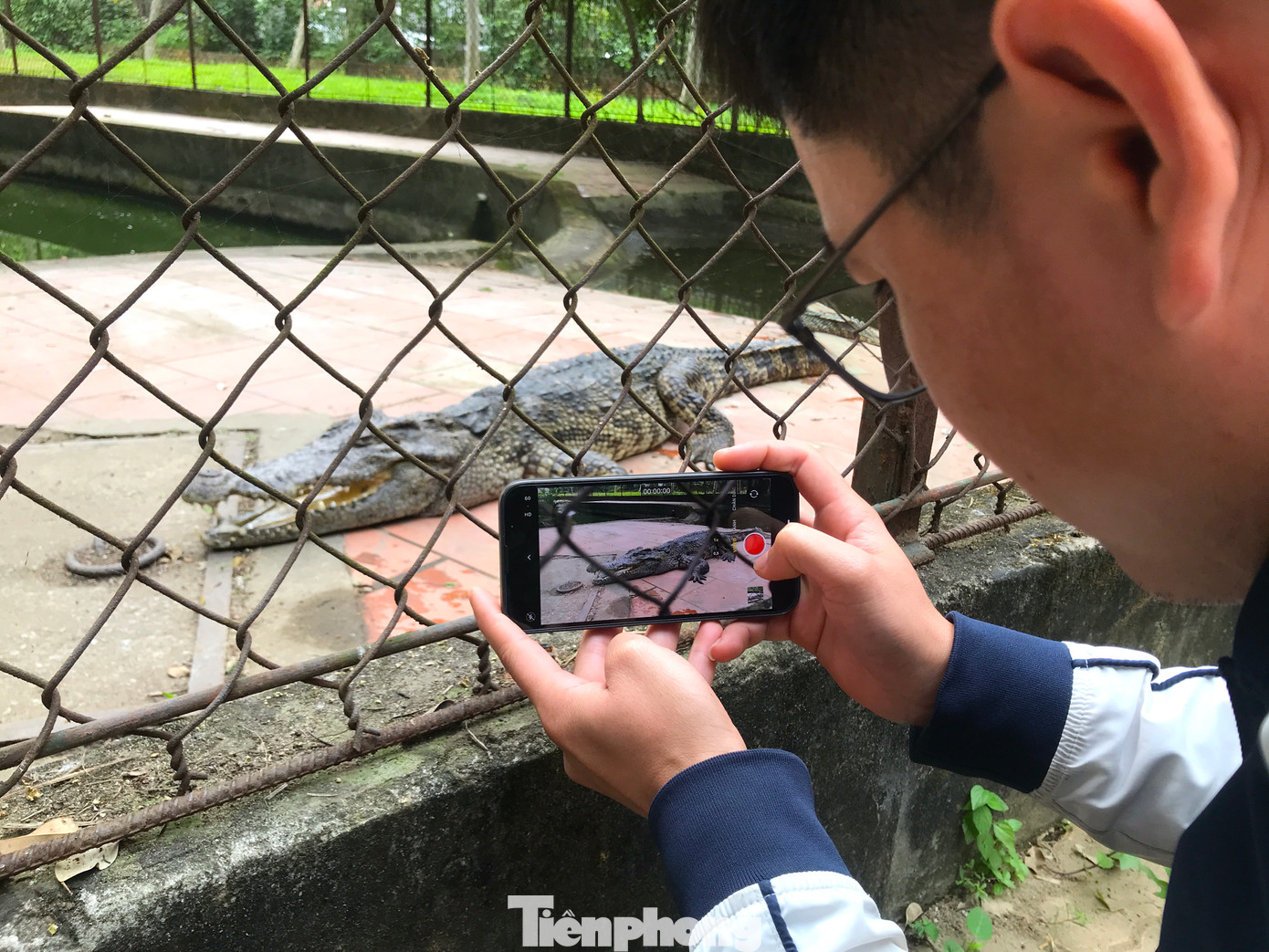 “Bên trong có nhiều cá sấu to và có cả con nhỏ, nếu trẻ con đến sát chơi sẽ rất nguy hiểm. Không hiểu sao họ chưa sửa chữa. Công viên nhiều người qua lại, chẳng may cá sấu chui được ra ngoài hậu quả sẽ không biết làm sao”, một số người dân lo ngại và họ đã chụp hình đăng tải lên mạng xã hội để cảnh báo mọi người nếu có đến khu vực này chơi nên cẩn trọng. Người dân cũng mong cơ quan chức năng có hướng xử lý chuồng nuôi cá sấu này để đảm bảo an toàn. “Bên trong có nhiều cá sấu to và có cả con nhỏ, nếu trẻ con đến sát chơi sẽ rất nguy hiểm. Không hiểu sao họ chưa sửa chữa. Công viên nhiều người qua lại, chẳng may cá sấu chui được ra ngoài hậu quả sẽ không biết làm sao”, một số người dân lo ngại và họ đã chụp hình đăng tải lên mạng xã hội để cảnh báo mọi người nếu có đến khu vực này chơi nên cẩn trọng. Người dân cũng mong cơ quan chức năng có hướng xử lý chuồng nuôi cá sấu này để đảm bảo an toàn.