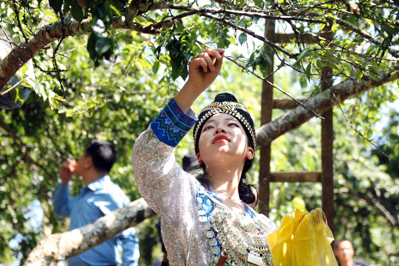 Thiếu nữ người Mông thả dáng bên vườn mận.