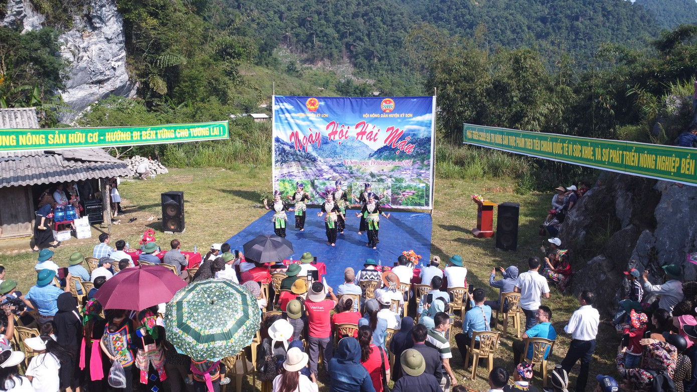 Để hỗ trợ bà con Mường Lống, huyện Kỳ Sơn giới thiệu và bán sản phẩm mận Mường Lống, đồng thời quảng bá tới du khách, huyện sẽ tiến hành tổ chức Ngày hội hái mận Mường Lống. Theo đó, nhiều chương trình hấp dẫn như biểu diễn văn nghệ cộng đồng, xem chọi bò, cuộc thi mận... Đặc biệt du khách sẽ được tự tay hái những trái mận chín mọng trên cây và thưởng thức ngay tại vườn.