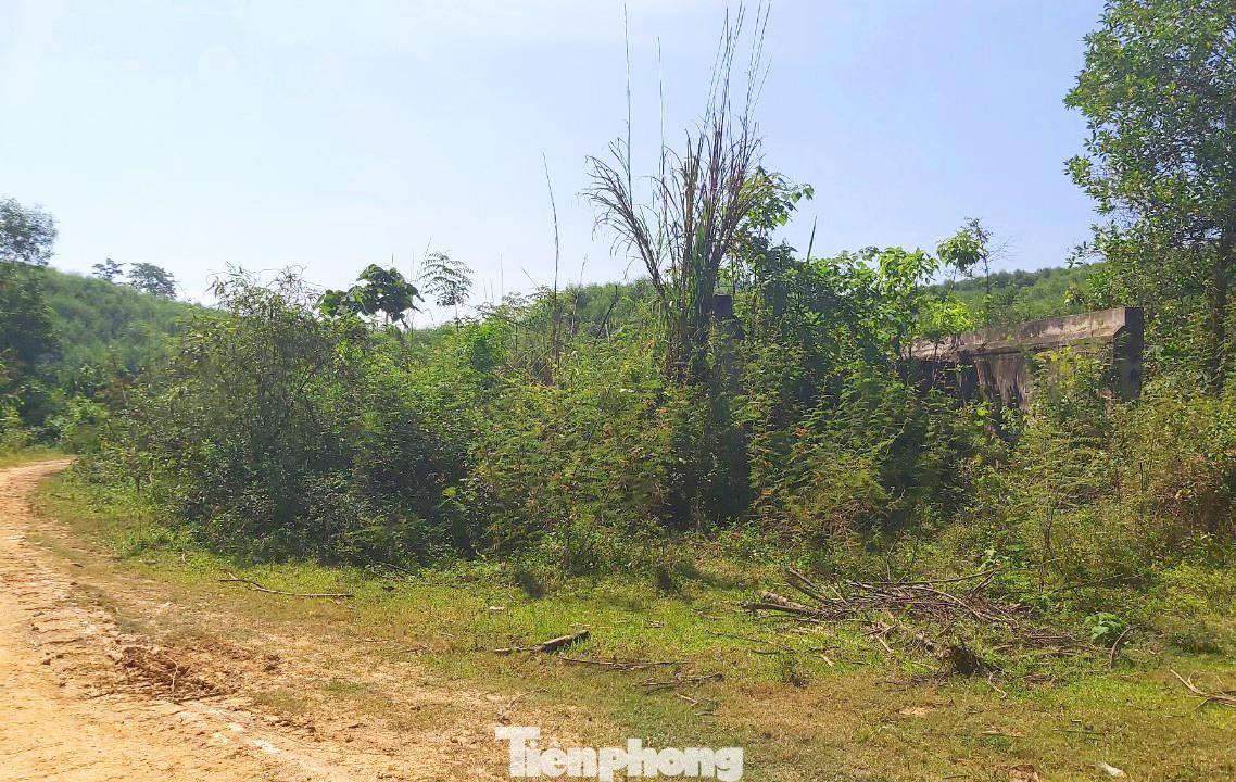 Ông Võ Hồng Hiếu - Giám đốc Ban quản lý dự án huyện Anh Sơn, cho hay, nguyên nhân dự án chậm tiến độ cả thập kỷ là do nguồn vốn hạn hẹp. Theo kế hoạch ban đầu, giai đoạn 1 của dự án sẽ hoàn thành vào 6/2014 và giai đoạn 2 dự kiến tháng 3/2015. Tuy nhiên, do thiếu vốn nên khối lượng hoàn thành của 2 giai đoạn chỉ đạt 39,4% và 26,4%. Ông Võ Hồng Hiếu - Giám đốc Ban quản lý dự án huyện Anh Sơn, cho hay, nguyên nhân dự án chậm tiến độ cả thập kỷ là do nguồn vốn hạn hẹp. Theo kế hoạch ban đầu, giai đoạn 1 của dự án sẽ hoàn thành vào 6/2014 và giai đoạn 2 dự kiến tháng 3/2015. Tuy nhiên, do thiếu vốn nên khối lượng hoàn thành của 2 giai đoạn chỉ đạt 39,4% và 26,4%.