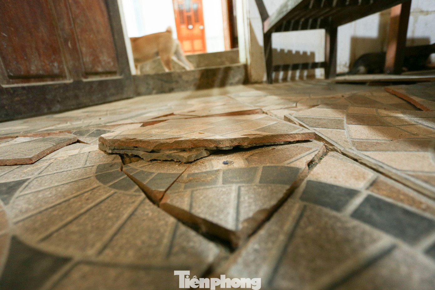 Từng viên gạch bong tróc, bung lên vỡ vụn khỏi nền nhà của gia đình bà Hoàng Thị Hoài.